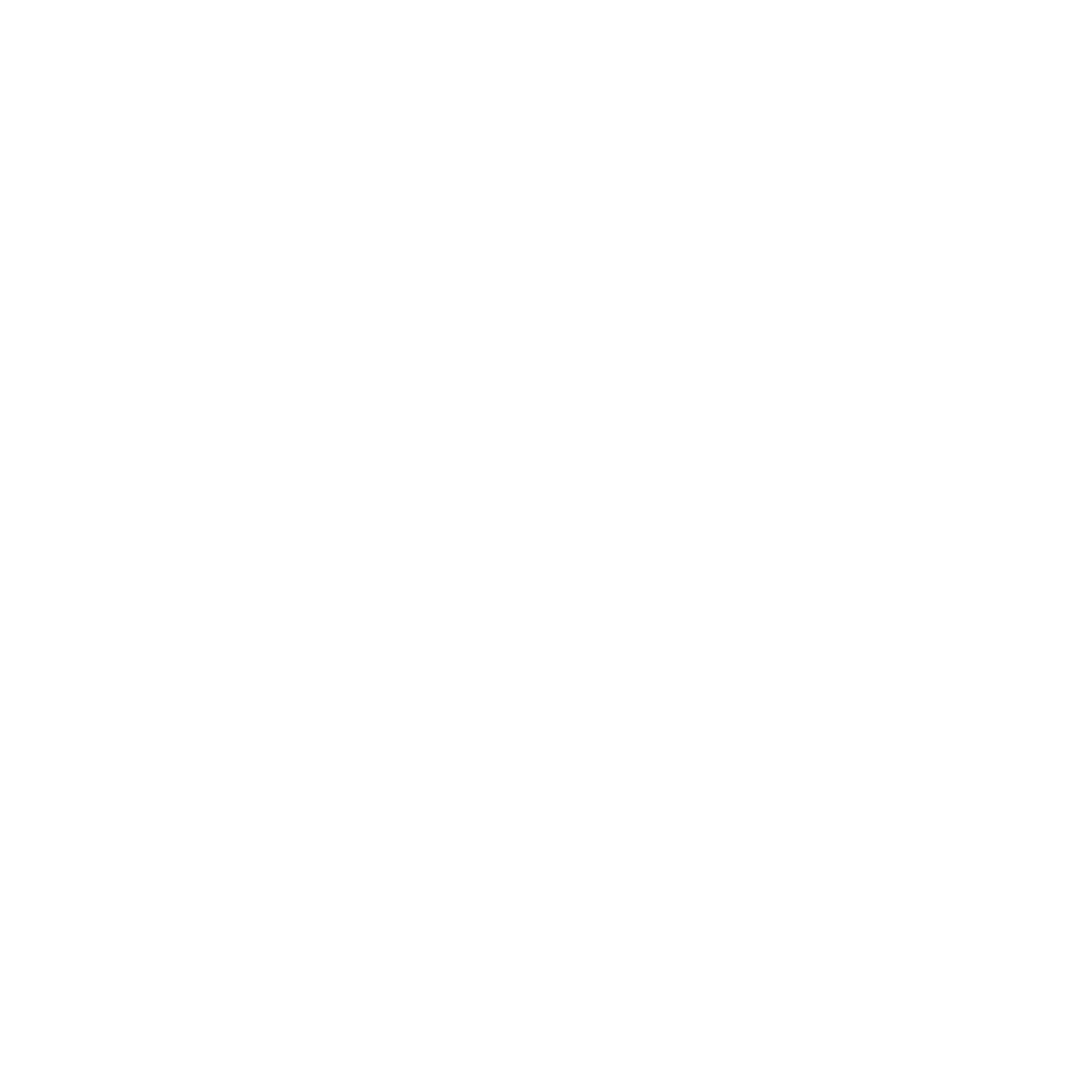 Icono 1
