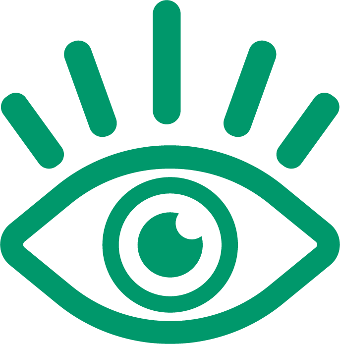 Icono 1